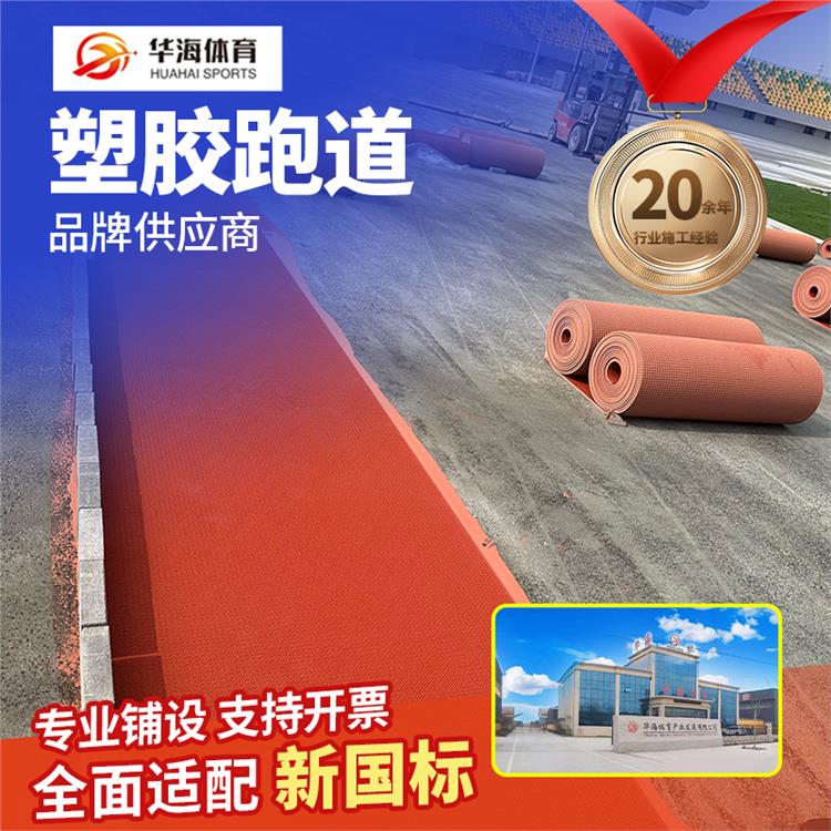 广安市半预制跑道epdm颗粒 - 厂家